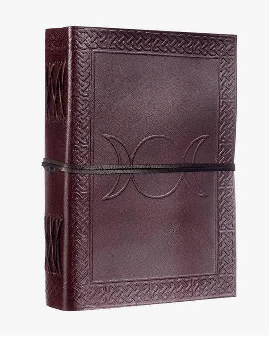 De tre Måners Dagbog