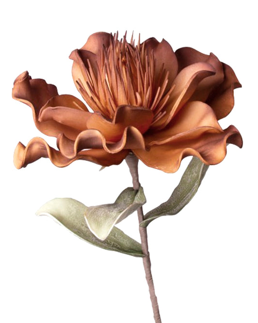 Peonia Magical Flower