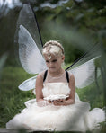 Load image into Gallery viewer, Fantasy Titania Fairy Vinger
